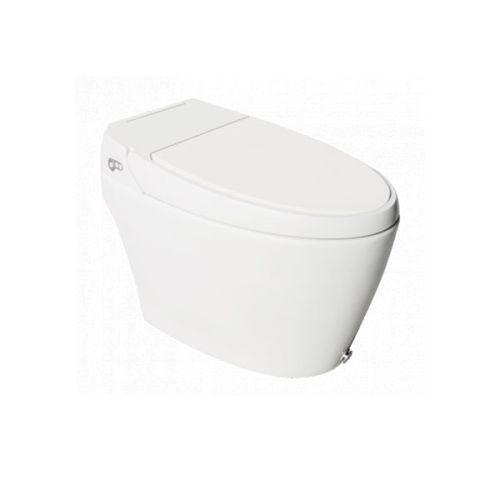 Hindware Automate Floor Mount Intelligent Closet S-300