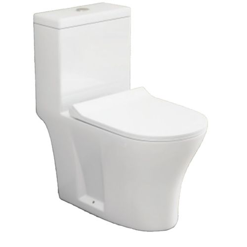 Parryware Luna Single Piece Suite S 220