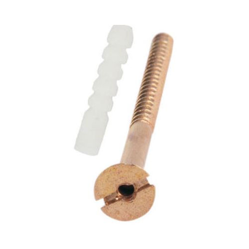 Kohinoor Agro Brass Screw for EWC 3"