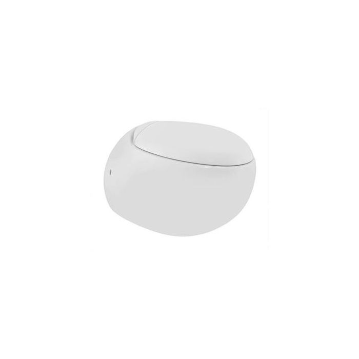 jaquar wall mounted ewc