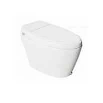 Hindware Automate Floor Mount Intelligent Closet S-300