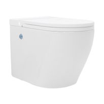 Hindware Tankless S1 Wall Mounted EWC Round StarWhite