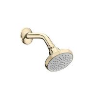 Kohler Complementary Single-Function Showerhead In Polished Chrome (With Shower Arm And Flange) French Gold (K-16356In-A-Af)