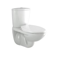 Parryware Flair Wall Hung Coupled Closet White