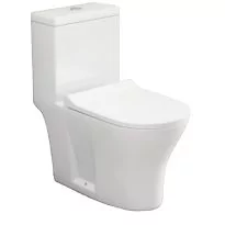 Parryware Luna Single Piece Suite S 220