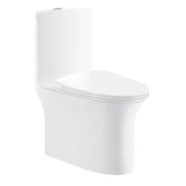 Parryware Primo Rimless Single Piece Suite Rimless S 220