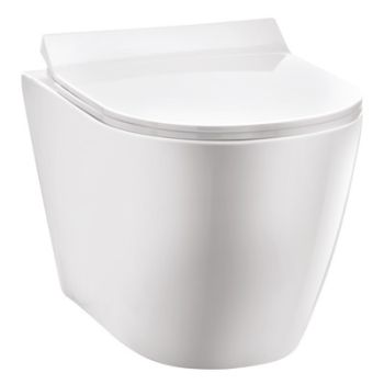 Parryware Oasis Rimless Wall Hung WC P-Trap