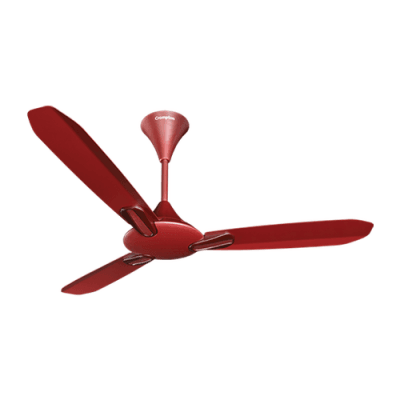 Crompton Dignita Antidust Ceiling Fan Roseberry