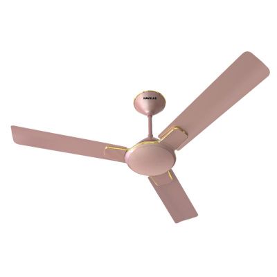 Havells Enticer Ceiling Fan Rose Gold