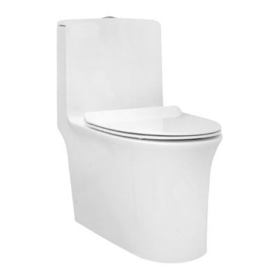 Parryware Aquiline Rimless Water Closet Floor Mounted S-290