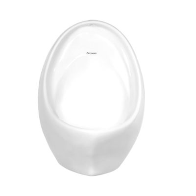Parryware Niagara N Urinal White with Spreader