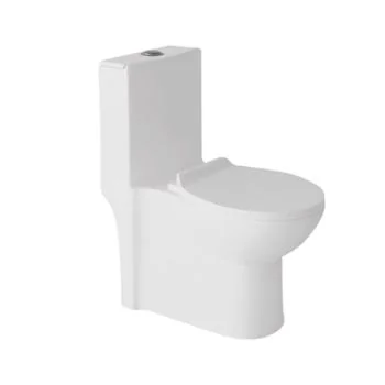Hindware Elegance One Piece Rimless EWC Starwhite S-220