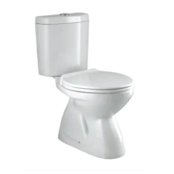 Parryware Niagara Floor Mounted Coupled Closet S-230