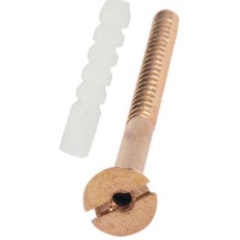 Kohinoor Agro Brass Screw for EWC 3"